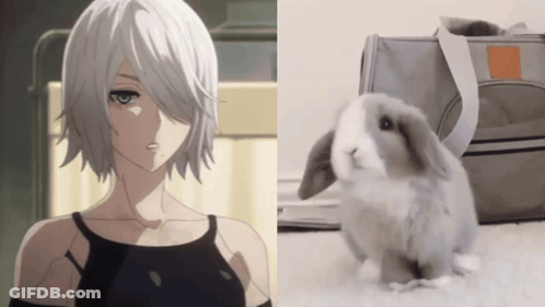 Girl With White Hair Next To Rabbit GIF
