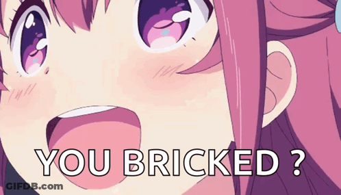 Girl With You Bricked GIF