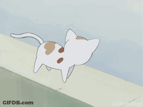 Girl Yelling At Cat Saying Garri GIF