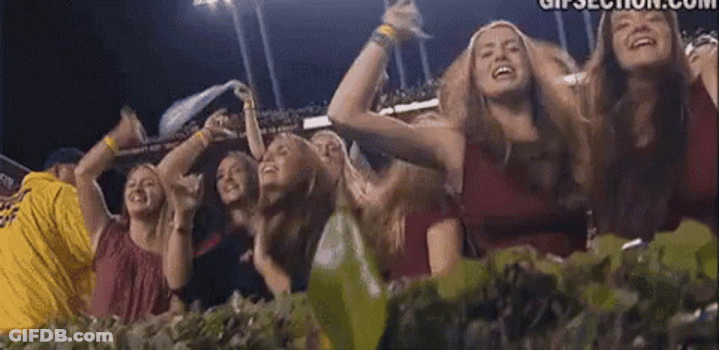 Girls Cheers For Gamecocks GIF