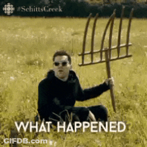 Girsin GIF