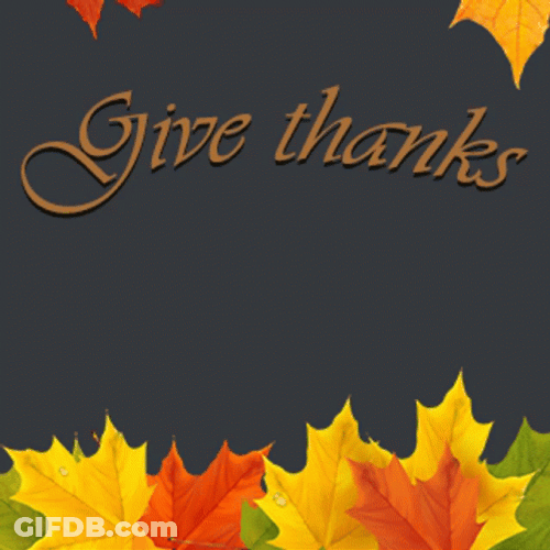 Give Thanks Falling Leaves GIF