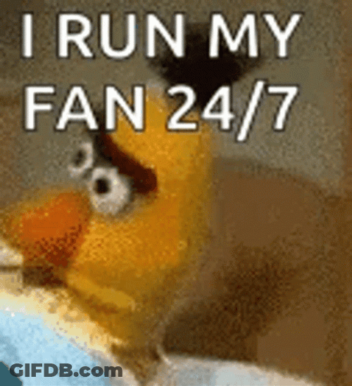 Giving Tuesday Bert GIF