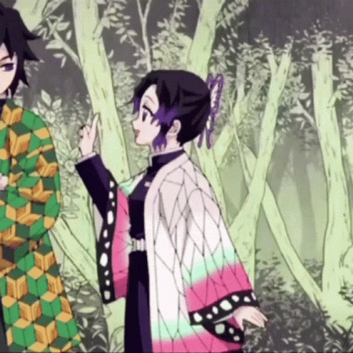 Giyu And Shinobu GIF