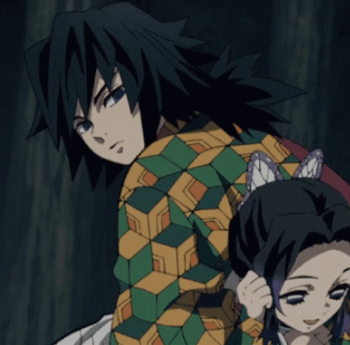 Giyu With Shinobu GIF