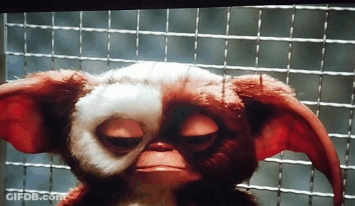 Gizmo Eyes Closed Behind Wire Fence GIF