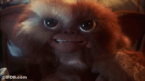 Gizmo From Gremlins Close Up GIF