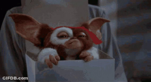 Gizmo From Gremlins In White Box GIF