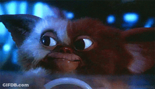 Gizmo From Gremlins Looking At Camera GIF