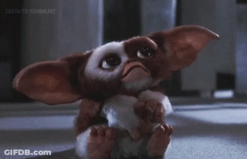 Gizmo From Gremlins Sitting Down GIF