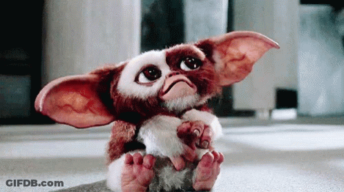 Gizmo From Gremlins Sitting On Floor Looking At Camera GIF