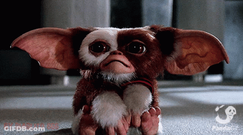 Gizmo From Gremlins Sitting On Ground GIF