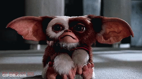 Gizmo From Gremlins Sitting On Rock GIF