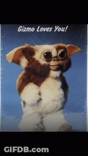 Gizmo Loves You GIF