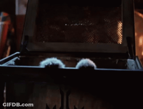 Gizmo Stuffed Animal Sticking Paws Out Window GIF