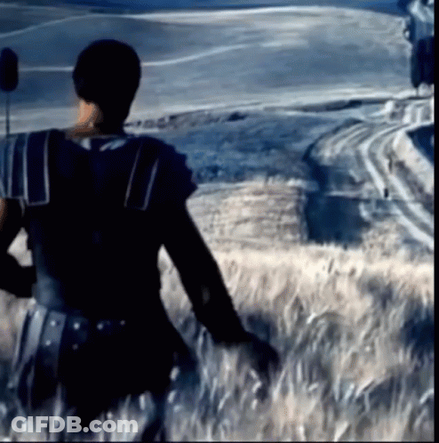 Gladiator Gladiators GIF