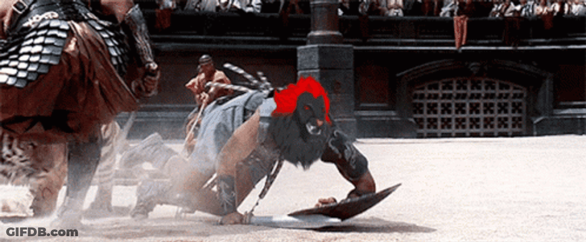 Gladiator Maximus Battling Tiger GIF