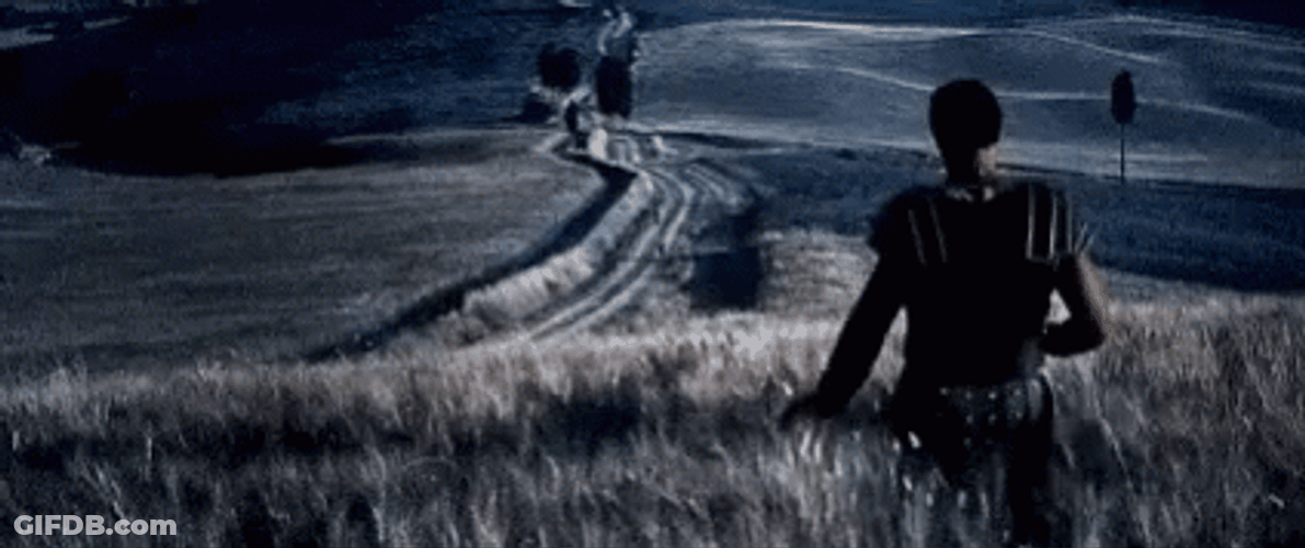 Gladiator Russel Crow Coming Home GIF