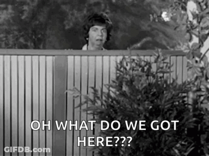 Gladys Kravitz GIF