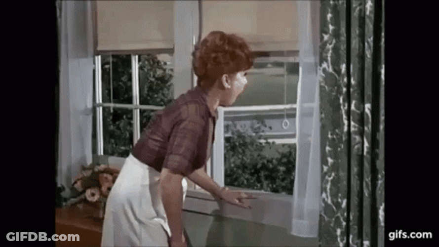Gladys Kravitz GIF