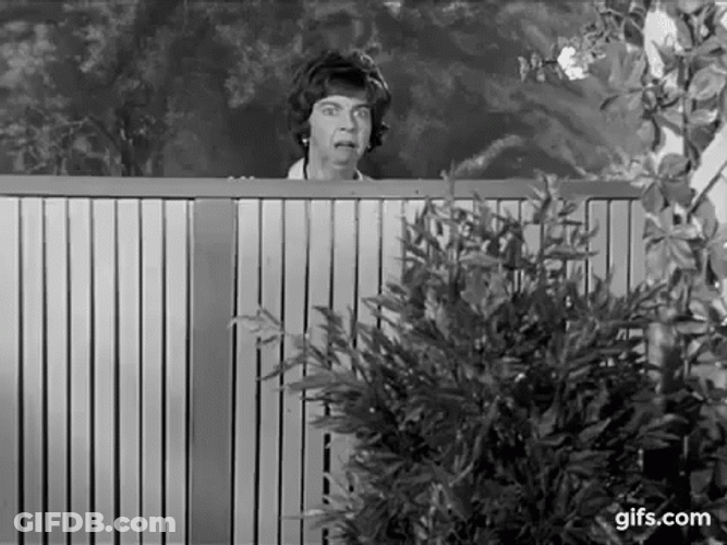 Gladys Kravitz GIF