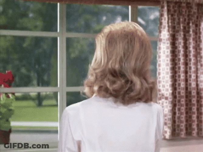 Gladys Kravitz GIF