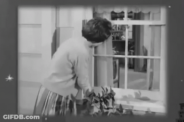 Gladys Kravitz GIF