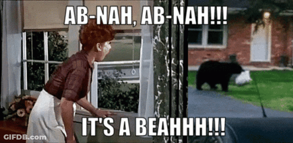 Gladys Kravitz GIF