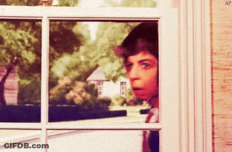 Gladys Kravitz GIF