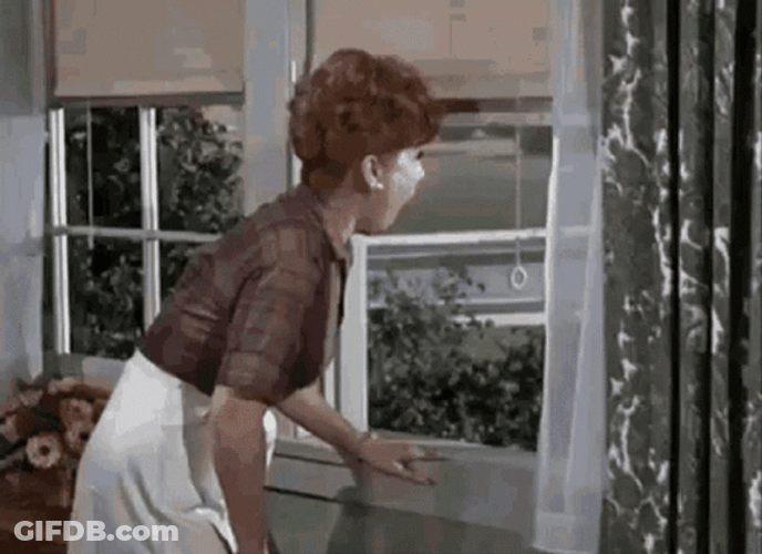 Gladys Kravitz GIF
