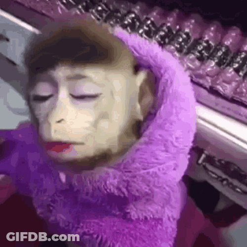 Glam Purple Makeup Monkey GIF