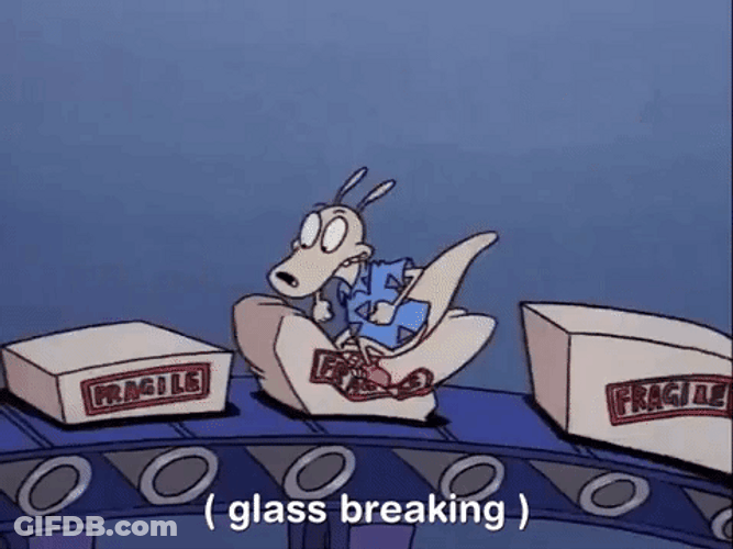 Glass Breaking Rocko's Modern Life GIF