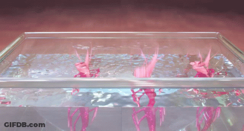 Glass Container With Pink Liquid Overflowing GIF