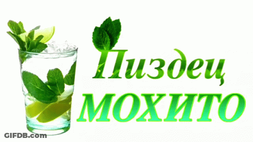 Glass Of Mojito With Ice And Mint GIF