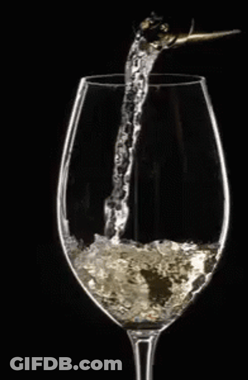 Glass Of Sparkling Delight Prosecco GIF