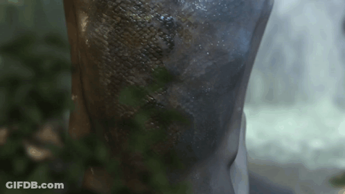 Glass Of Water With Ice Cubes GIF