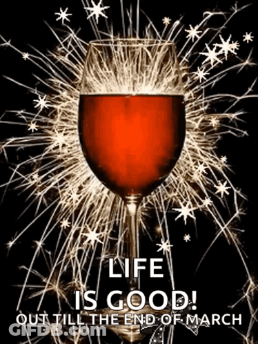 Glass Of Wine Surrounded By Sparklers Says Life Is Good GIF