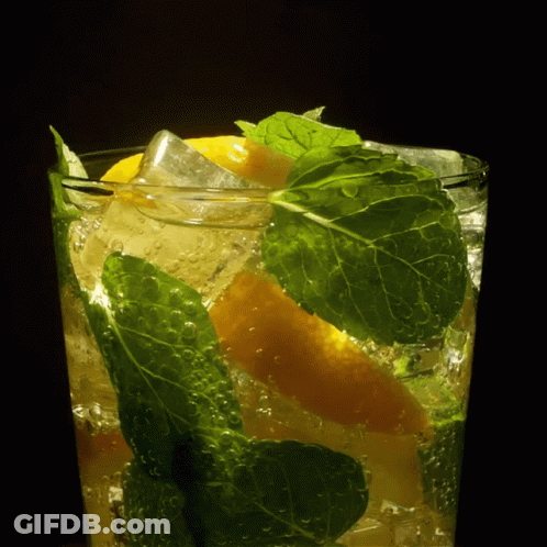 Glass With Ice Lemon And Mint GIF