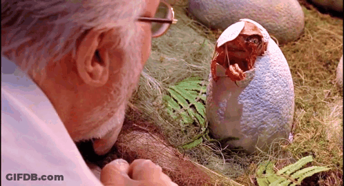 Glasses Man Watching Baby Dinosaur Hatch GIF