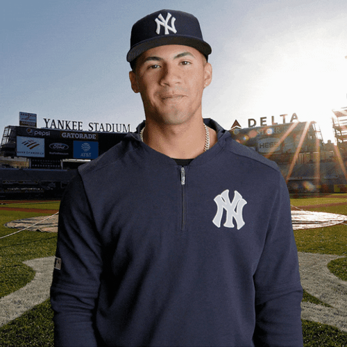 Gleyber You Got It GIF