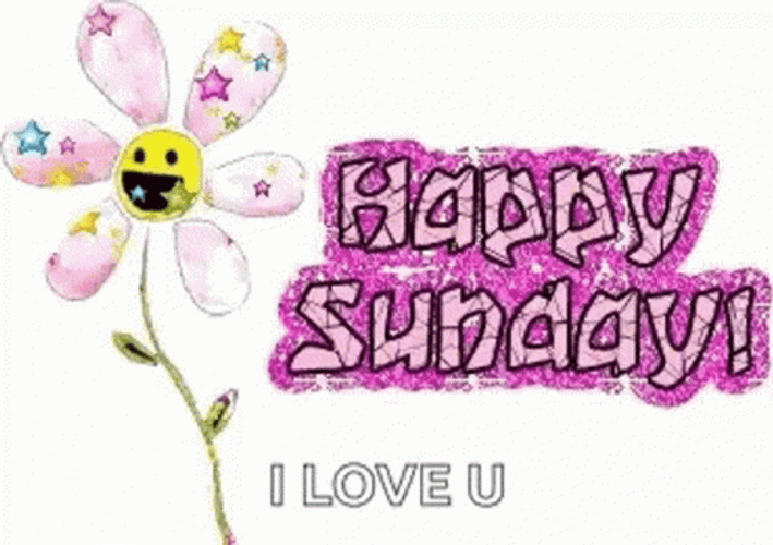 Glimmering Animated Flower Happy Sunday Love GIF