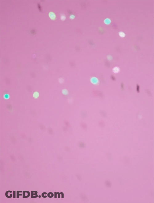 Glitter Confetti Scattered Falling GIF