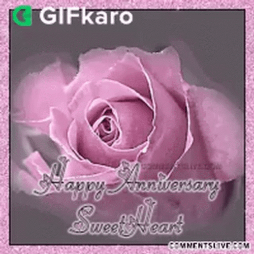 Glitter Happy Anniversary Pink Rose Sweetheart GIF