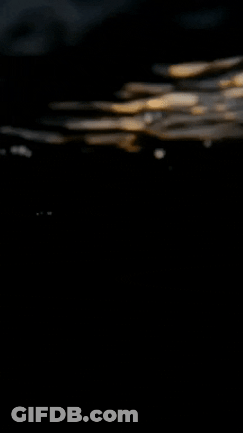 Glitter Like Ocean Waves GIF