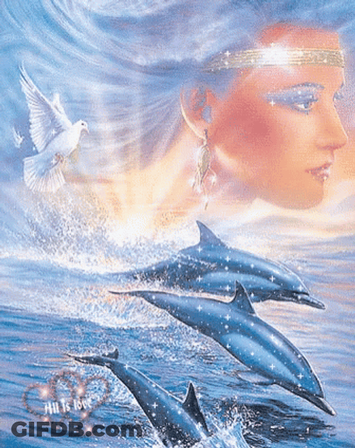 Glittering Dolphin Poster GIF