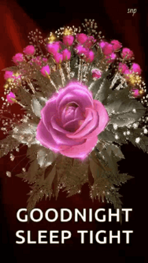 Glittering Pink Rose And Buds Good Night GIF