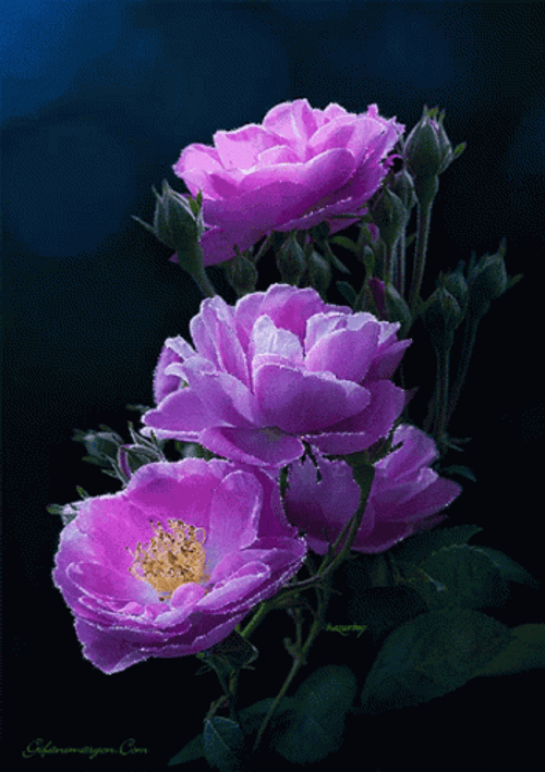 Glittering Purple Flowers GIF