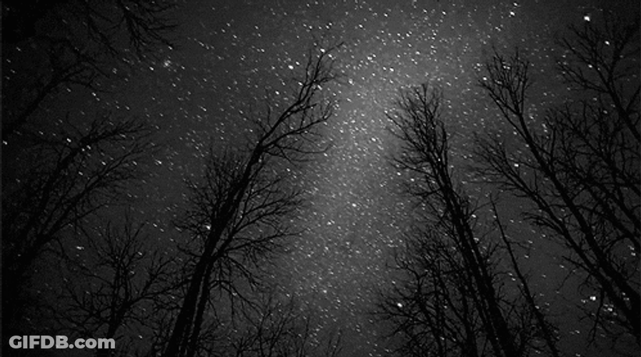 Glittering Snowy Night Forest GIF
