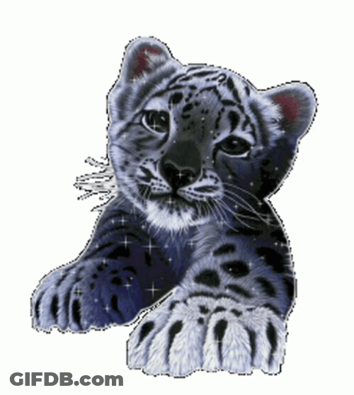 Glittery Baby Jaguars GIF