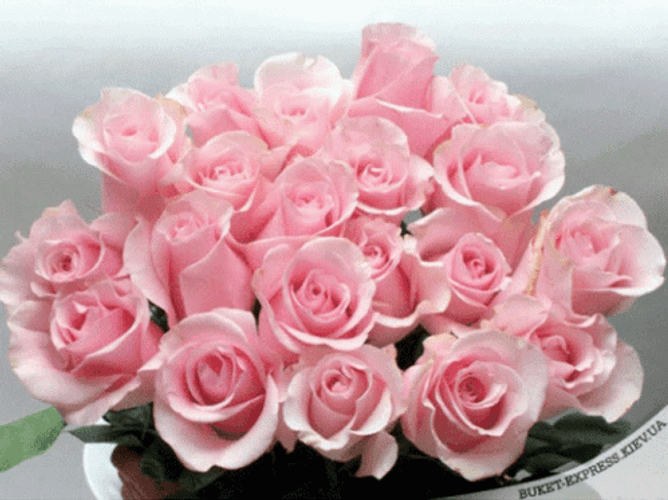 Glittery Pink Flores Bouquet GIF